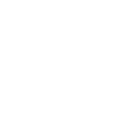 Watson Automotive LLC